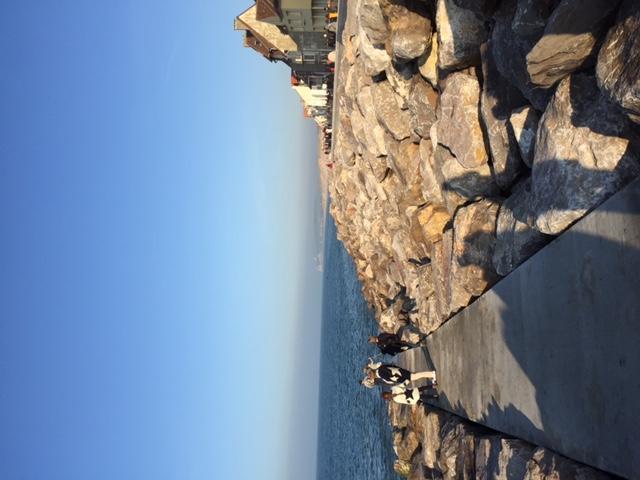 Le De La Digue * Wissant